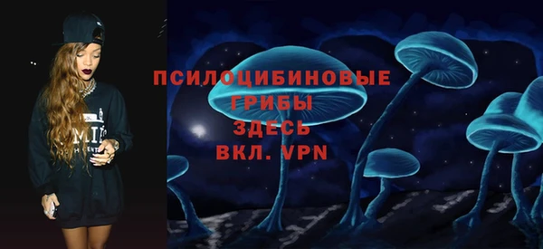 spice Алексин