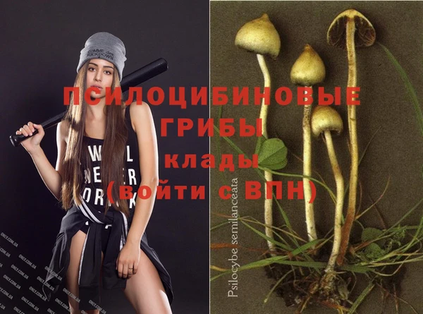 spice Алексин