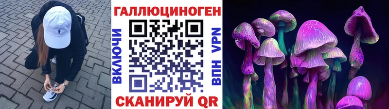 Псилоцибиновые грибы Psilocybe  Полысаево 